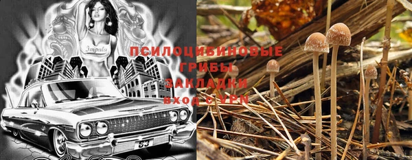 винт Дмитровск