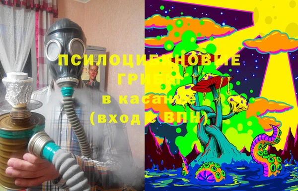 не бодяженный Дмитриев