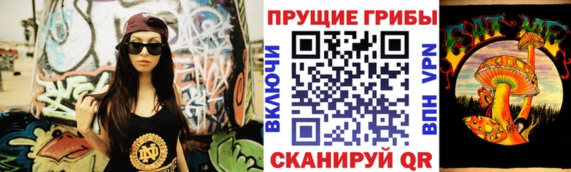 Псилоцибиновые грибы Psilocybe  Будённовск 
