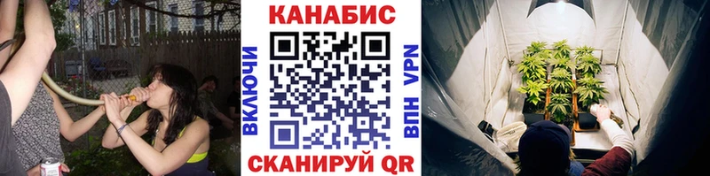MEGA сайт  где найти   Будённовск  Шишки марихуана SATIVA & INDICA 